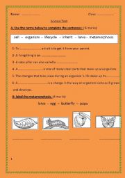 English worksheet: living things