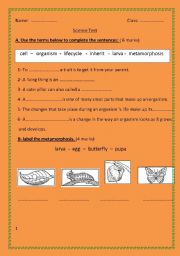 English Worksheet: living things