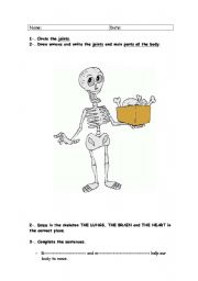 English Worksheet: Easy Human Body