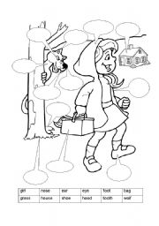 English Worksheet: Red Riding Hood colouring and words