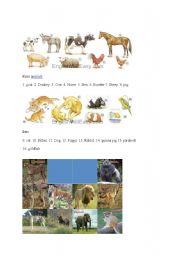 English worksheet: animals