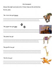 English Worksheet: Animal Body Hooves or Paws