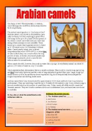 English Worksheet: Reading comprehension ( animals)