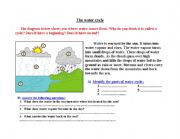 English Worksheet: The Water cycle