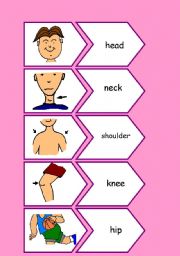 English Worksheet: Body Parts [Flashcards]