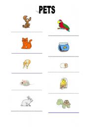 English worksheet: pets