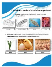 Unicellular and multicellular organisms