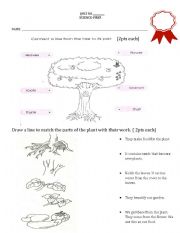 English Worksheet: parts of the tree