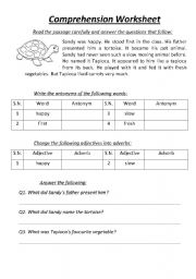 Comprehension Worksheet