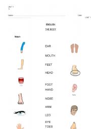 English worksheet: body