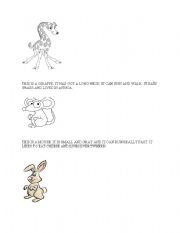 English Worksheet: animals