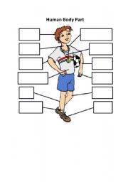 English Worksheet: human body part