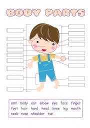 English Worksheet: Body Parts