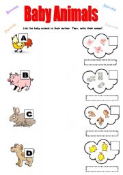 English Worksheet: Baby Animals