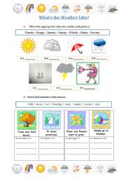 English Worksheet: present simple