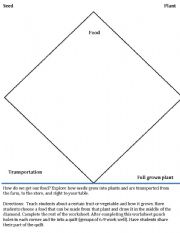 English Worksheet: From seed to dinner