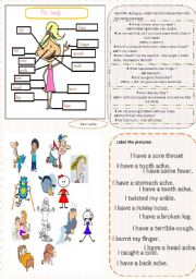 English Worksheet: body and illnesses