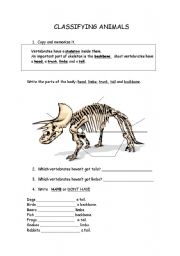 English worksheet: animals