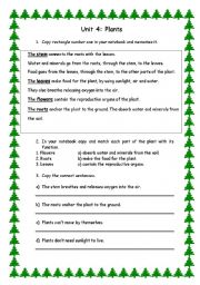 English Worksheet: Plants