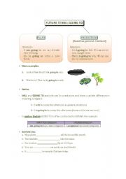 English worksheet: Future Tense with GOING TO