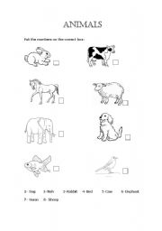 English worksheet: Animals