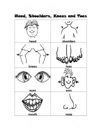 English Worksheet: body parts