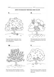 English Worksheet: seasons