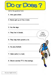 English Worksheet: present simple question form