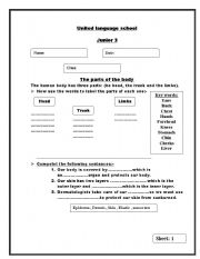 English worksheet: external dody parts