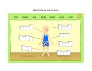 English worksheet: BODY PARTS