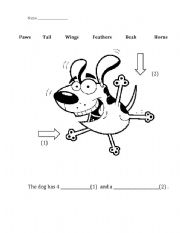 English Worksheet: Animal Body Parts