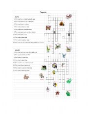 English Worksheet: Insects