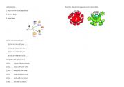 English Worksheet: Describing Physical Appearance
