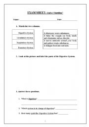 English Worksheet: nutrition primary 4