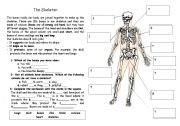 English Worksheet: Complete the skeleton