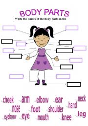 English Worksheet: parts of the body