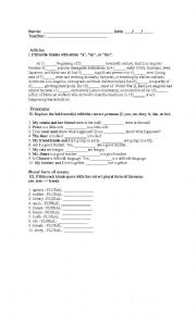 English Worksheet: Articles, pronouns and plural practices