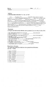 English worksheet: Articles, pronouns and plural practices