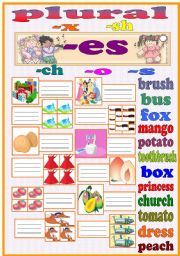 English Worksheet: plural -es