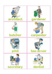 Occupations and Jobs Flashcards 3