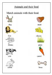 Animals and their Food