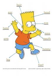 Body parts - Bart Simpson (learning to write and read)