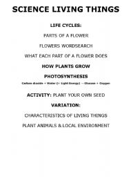 English worksheet: Plants