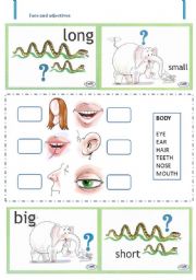 English Worksheet: Face and adjectives