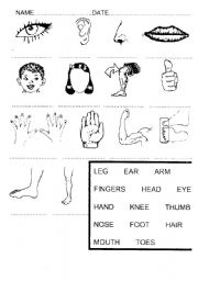 English Worksheet: Name the body part