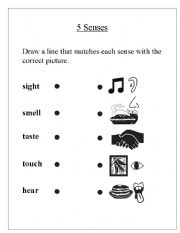 English worksheet: 5 senses