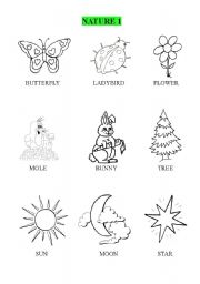 English worksheet: NATURE 1