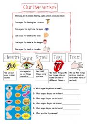 English Worksheet: Our five senses