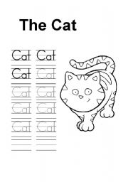 English Worksheet: The cat