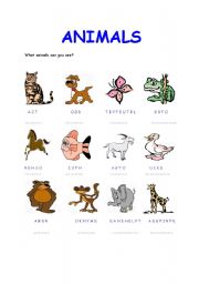 English worksheet: animals